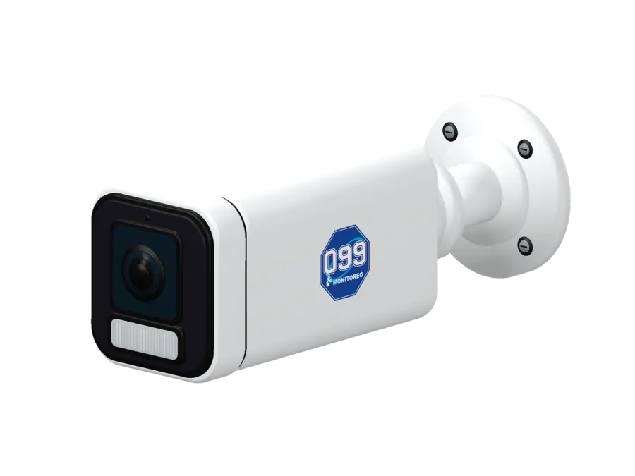Cámara bullet de seguridad 099 para accesos